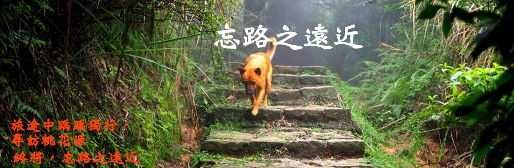 忘路之遠近 首頁 1 忘路之遠近 路&狗
