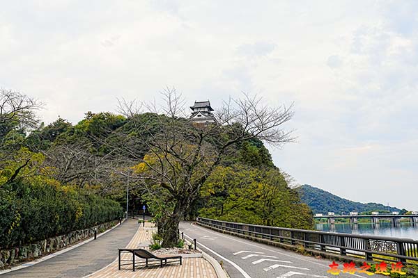沿木曾川望犬山城