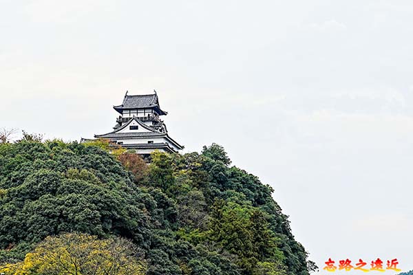 木曽川的絶壁上的犬山城
