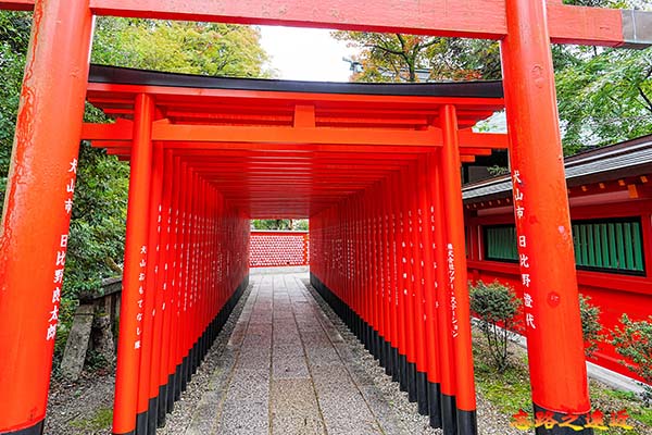 「三光稻荷神社」鳥居