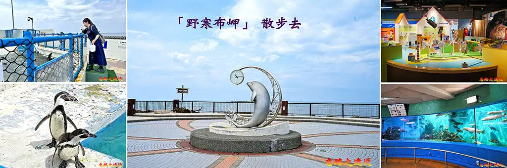野寒布岬BANNER