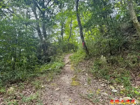 小谷城山區曲輪間道路