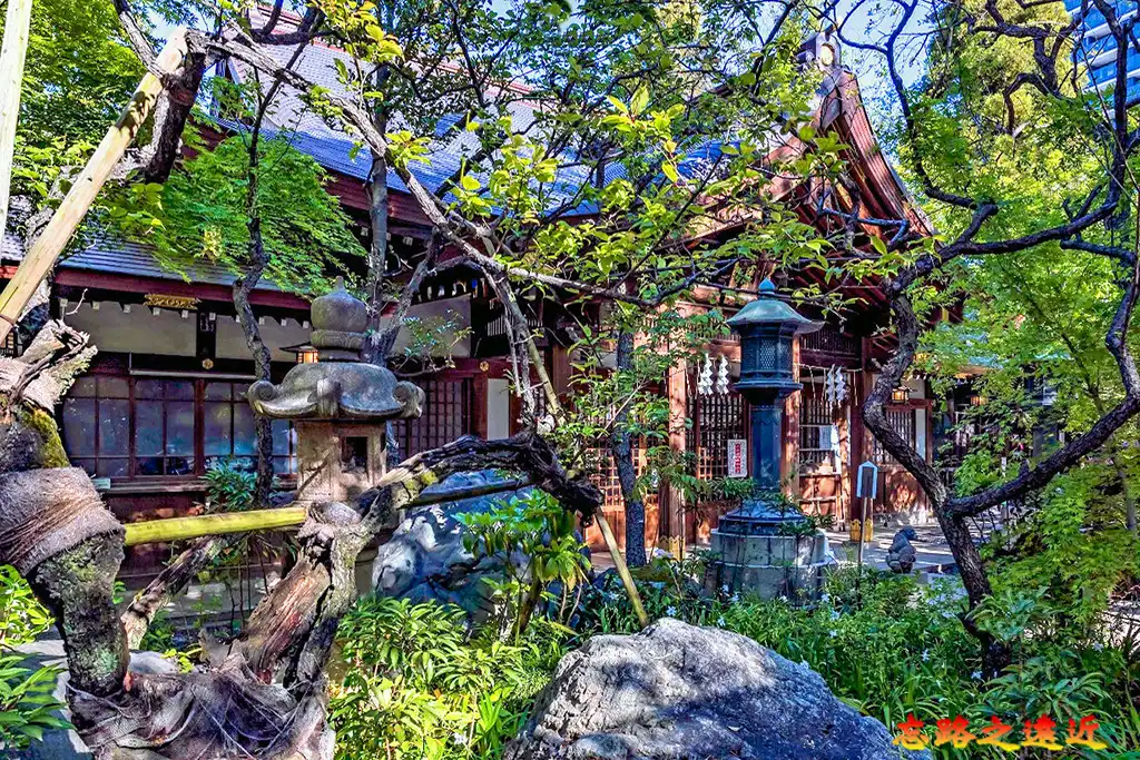 愛宕神社將軍之梅