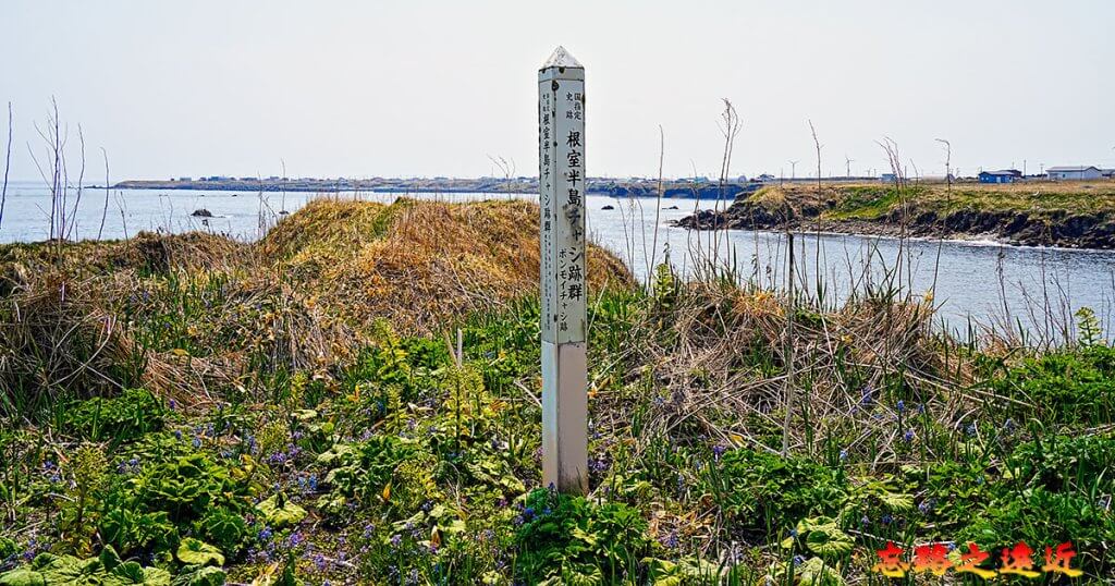 根室半島砦跡群，突出海面的土壘與城砦標示，象徵北海道百大名城的邊境性質
