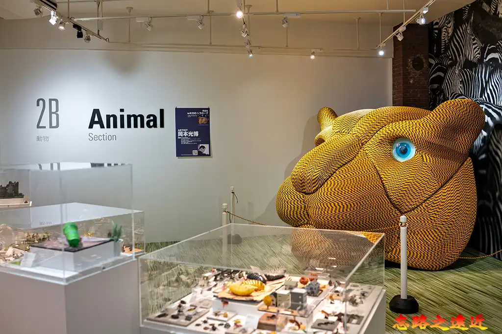 倉吉圓形劇場2B展場－動物（Animal）