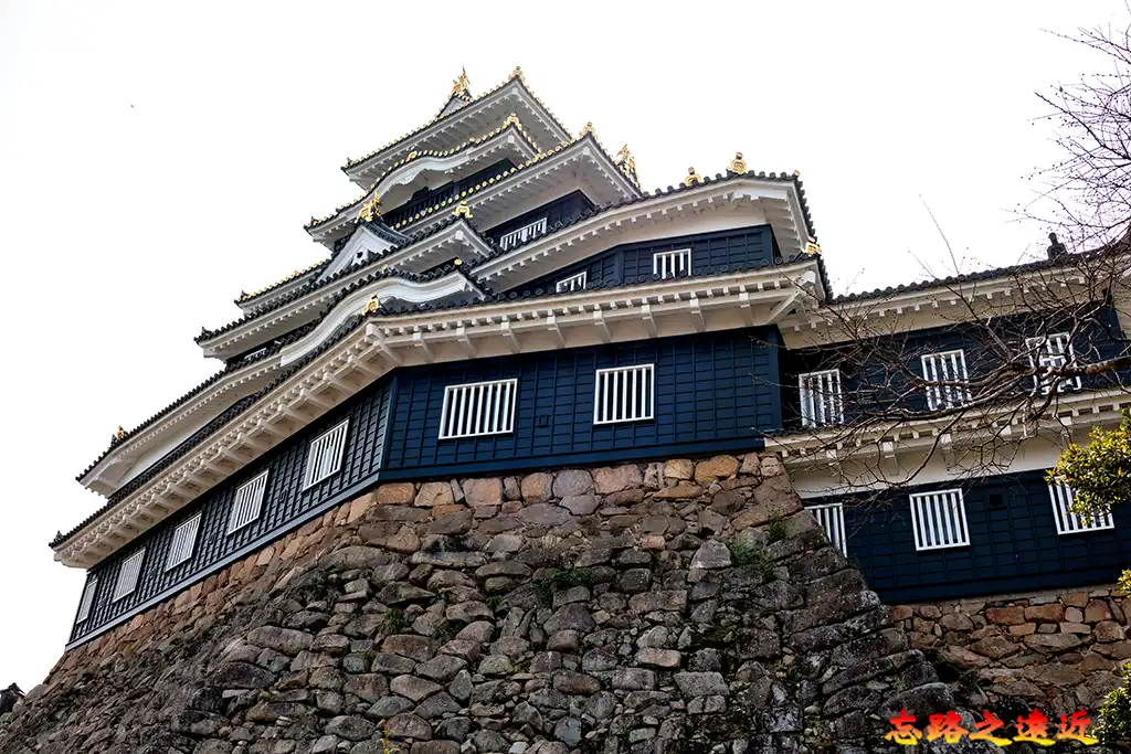 岡山城天守閣與本丸石垣