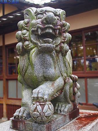 【九州.熊本】日本九州自由行~~日本國寶 「人吉青井阿蘇神社」裡的七五三兒童節 8 pic pimg tw look2up 1398696670 1382358336 m jpg