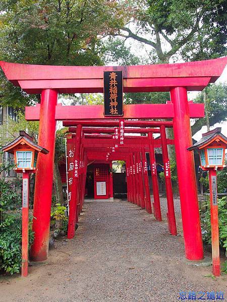 【九州.熊本】日本九州自由行~~日本國寶 「人吉青井阿蘇神社」裡的七五三兒童節 22 pic pimg tw look2up 1398696689 2924571171 n jpg