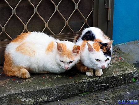 pic pimg tw look2up 1400516748 282018875 m jpg