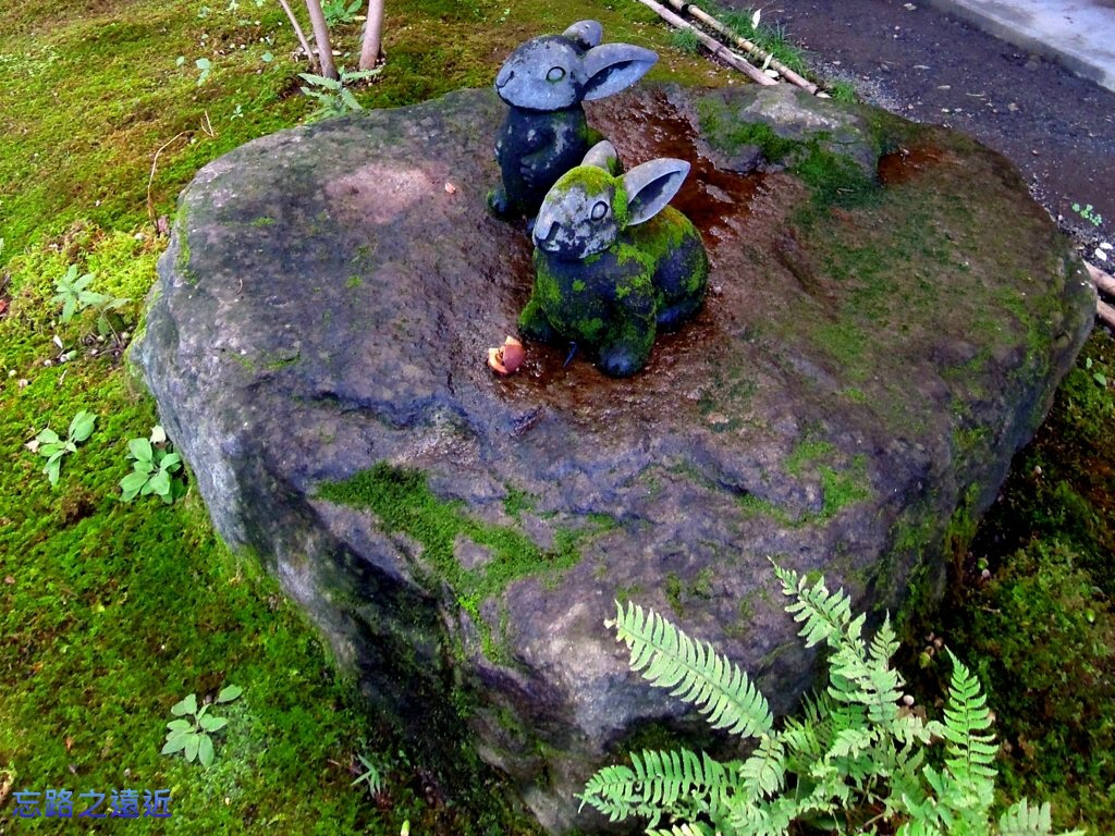 pic pimg tw look2up 1400732172 3631336894 jpg