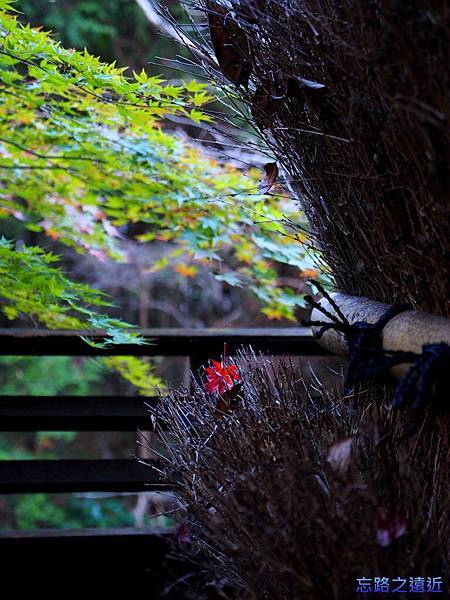 pic pimg tw look2up 1400732179 3075660441 n jpg