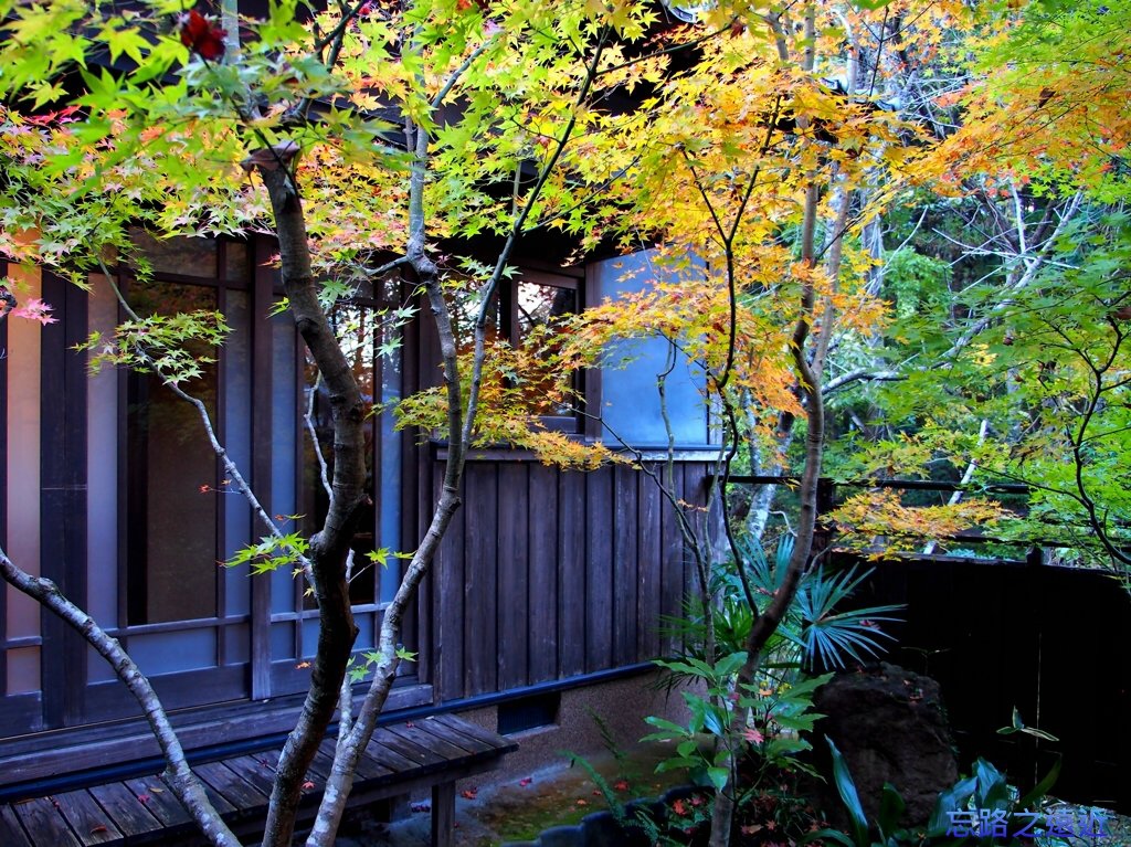 pic pimg tw look2up 1400732193 432351386 jpg