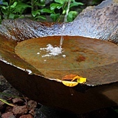 pic pimg tw look2up 1401767472 2209966124 q jpg