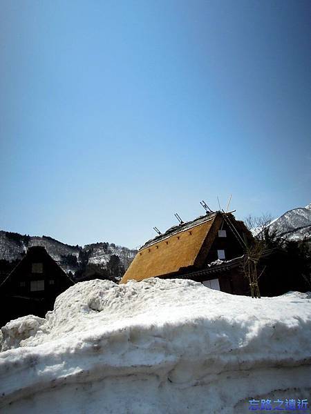 pic pimg tw look2up 1403942290 1566283326 n jpg