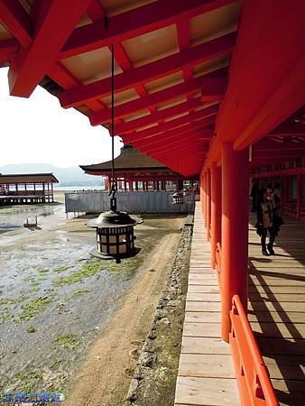 【山陽.廣島】宮島「嚴島神社」巡禮,各景點一一點名參訪,也巧遇櫻花綻開 11 pic pimg tw look2up 1405232699 2568043905 m jpg