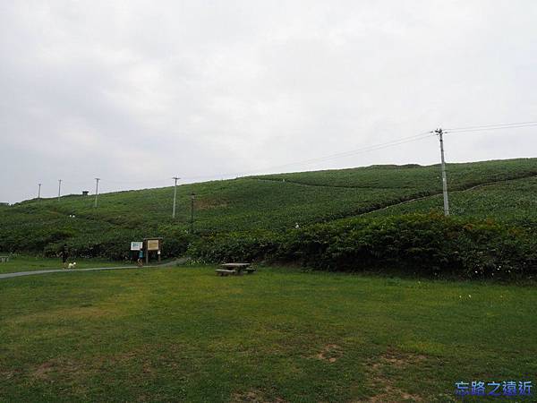 【北海道.積丹】北海道自駕旅行~~積丹半島神威岬之旅+中村屋海膽丼嚐鮮 10 pic pimg tw look2up 1408764822 3401993960 n jpg