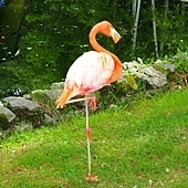 pic pimg tw look2up 1411186629 648444488 q jpg