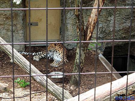 pic pimg tw look2up 1411186643 974783282 m jpg