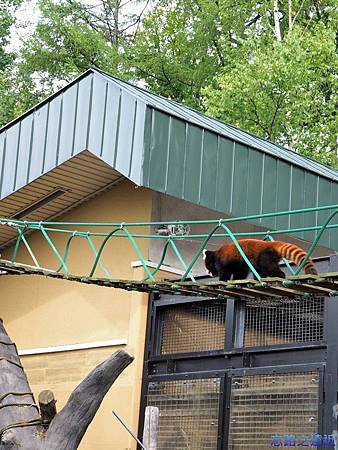 pic pimg tw look2up 1411186644 806418346 m jpg