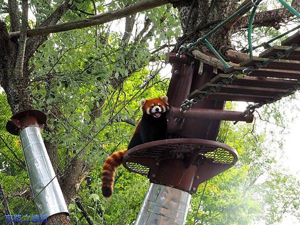 pic pimg tw look2up 1411186647 2489500536 n jpg