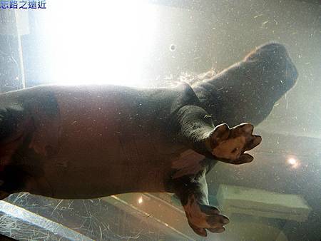 pic pimg tw look2up 1411186685 3158375331 m jpg