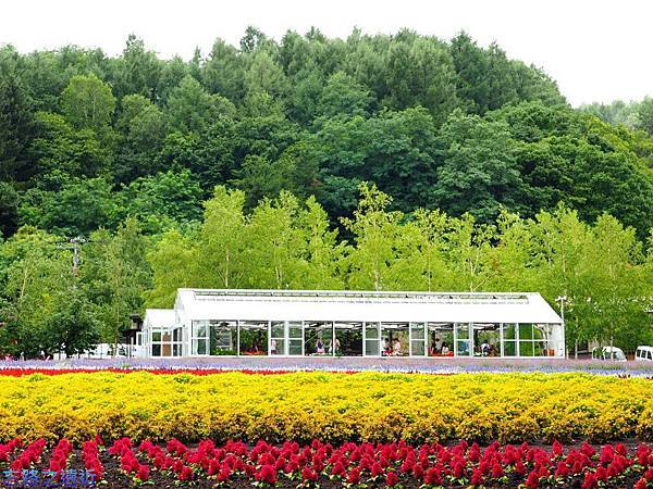 pic pimg tw look2up 1414484655 3936807683 n jpg