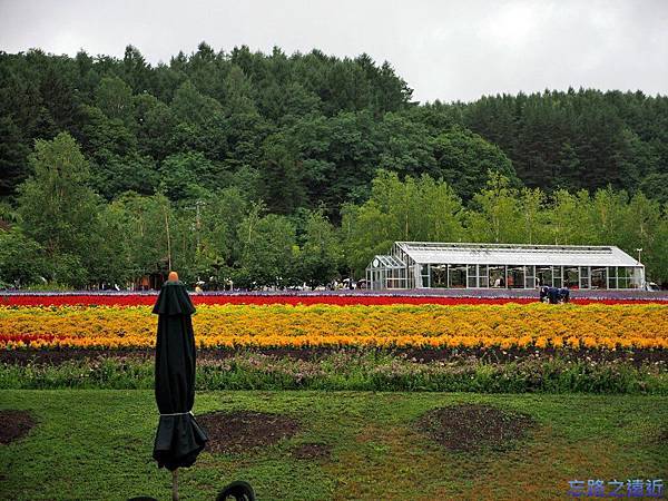 pic pimg tw look2up 1414484668 1482285810 n jpg