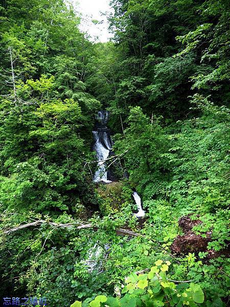 pic pimg tw look2up 1415262078 3086035343 n jpg