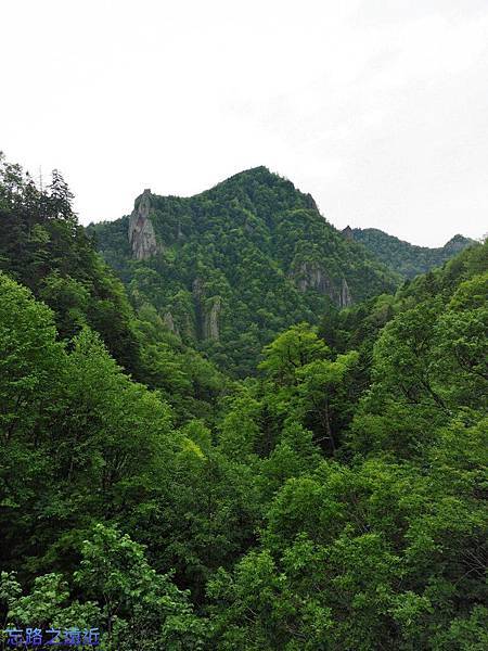 pic pimg tw look2up 1415262080 1653342907 n jpg