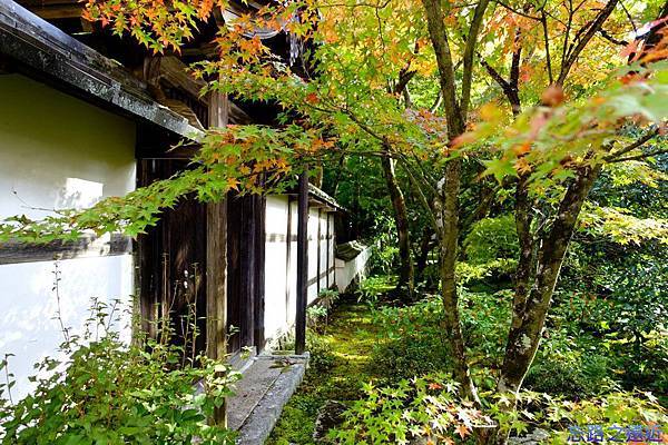 pic pimg tw look2up 1418536035 697132930 n jpg