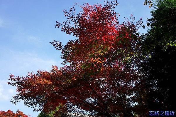 pic pimg tw look2up 1418536036 2989563779 n jpg