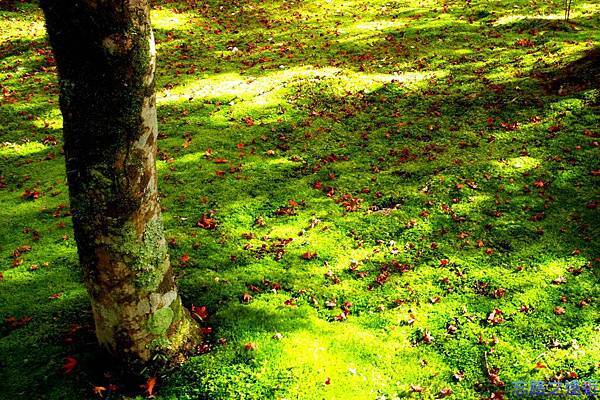 pic pimg tw look2up 1418536040 501144871 n jpg