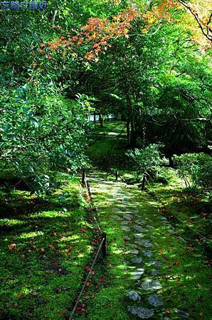 pic pimg tw look2up 1418536043 716500326 m jpg