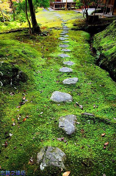 pic pimg tw look2up 1418536073 495806801 n jpg