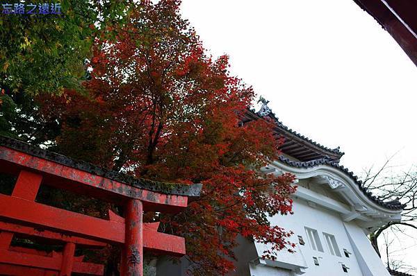 pic pimg tw look2up 1420449232 1906587663 n jpg