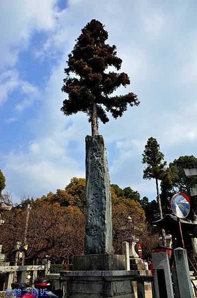 pic pimg tw look2up 1424590740 1315373886 n jpg