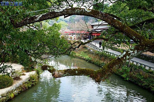 pic pimg tw look2up 1424590750 2528089081 n jpg