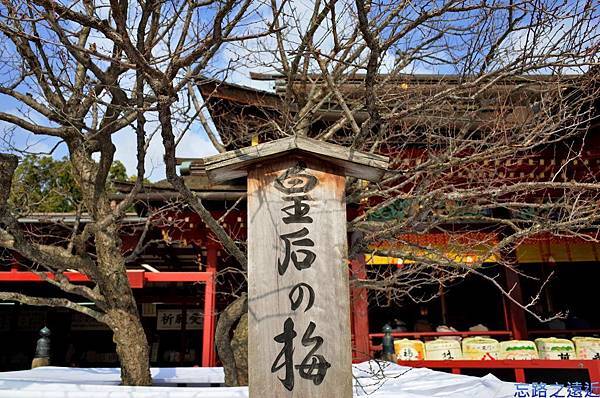 pic pimg tw look2up 1424590766 118890564 n jpg