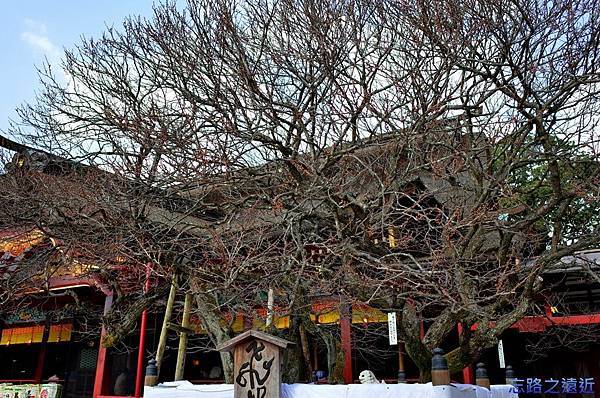 pic pimg tw look2up 1424590768 2888083108 n jpg