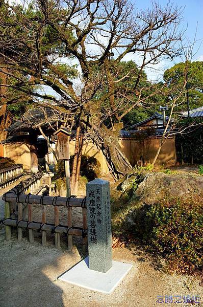 pic pimg tw look2up 1426063965 2719386462 n jpg