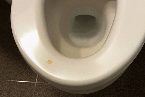 pic pimg tw look2up 1427876322 2493142281 n jpg