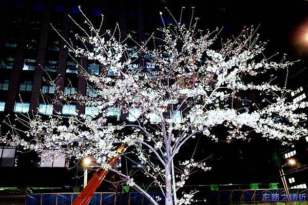 【東京都.東京】東京車站八重洲口 日本橋「櫻花通」(さくら通り)」巧遇絕美櫻花~~絕不可錯過的賞櫻景點 7 pic pimg tw look2up 1427948109 1509298385 n jpg