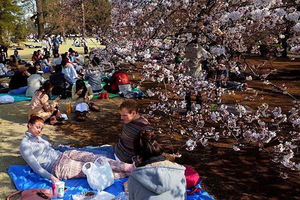 pic pimg tw look2up 1428376634 4212448084 n jpg