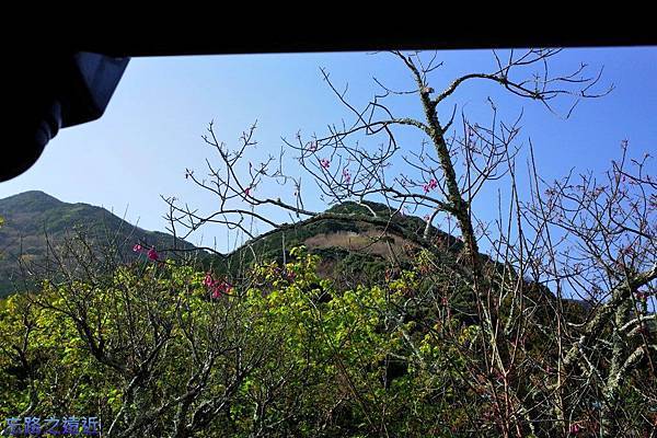 pic pimg tw look2up 1429866192 2341410959 n jpg