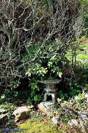 pic pimg tw look2up 1429866200 1962575368 m jpg