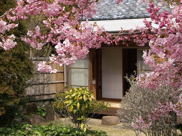 pic pimg tw look2up 1430121201 1219314215 n jpg