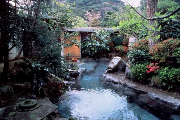 pic pimg tw look2up 1430361519 3034034230 jpg