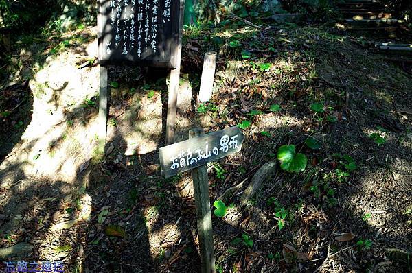 pic pimg tw look2up 1433655873 260643877 n jpg