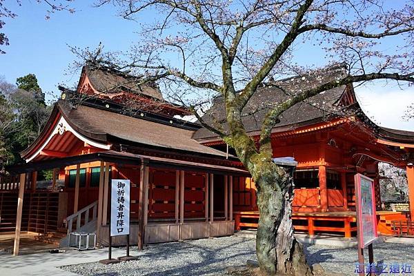 【東海.靜岡】富士山腳下的第一神社~~世界文化遺產「富士山本宮淺間大社」 11 pic pimg tw look2up 1434961063 148356969 n jpg