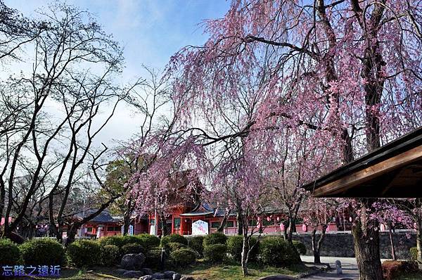 【東海.靜岡】富士山腳下的第一神社~~世界文化遺產「富士山本宮淺間大社」 19 pic pimg tw look2up 1434961083 675293858 n jpg